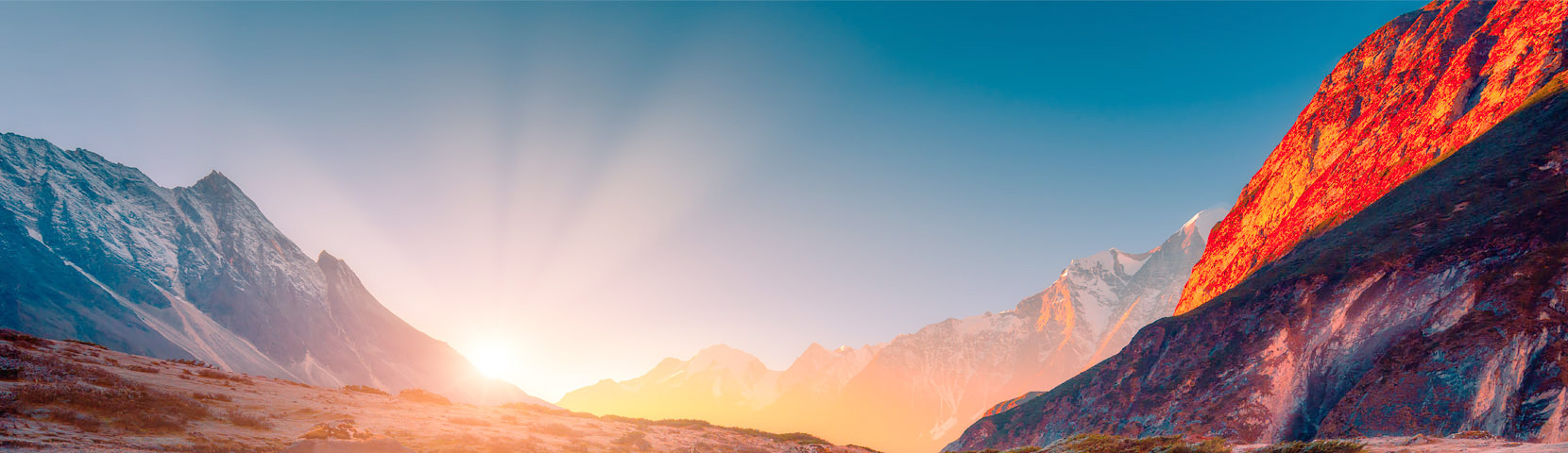 关于竞技联盟德州